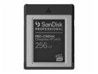 SanDisk Professional - Paměťová karta flash - 256 GB - CF...