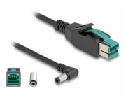 Delock - Kabel PoweredUSB - USB PlusPower (12 V) (M) do DC jack 5,5 x 2,5 mm (M) úhlový - 12 V - 1 m - černá