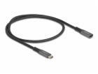 Delock - Prodlužovací USB kabel - 24 pin USB-C (M) do 24 ...