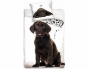 Carbotex Povlečení pro psy Labrador 160x200 Carbotex