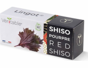 Véritable Lingot Fialový shiso - BIO