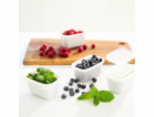 ROTHO Freeze - nádoba na zmrazování - 4x750ml