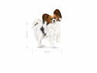 ROYAL CANIN Adult x- small SHN - suché krmivo pro psy - 1...