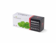 Véritable Lingot Bazalka mamutí