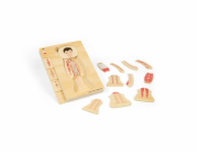 Bigjigs Toys Dřevěné puzzle Anatomie chlapec