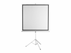Projekční plátno Sbox PSMT-135-2 240x240 cm