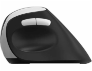 RAPOO Bezdrátová ergonomická myš EV250