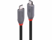 Lindy USB kabel USB-C – USB-C 2 m černý (36958)