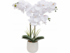 Atmosphera Umělá orchidej v květináči RIVA, 60 cm
