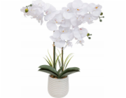 Atmosphera Umělá orchidej v květináči RIVA, 60 cm