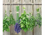 Zeller Skleněná ochranná deska LEVANDULE na sporák – velká, ZELLER