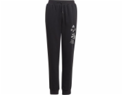 Kalhoty Adidas adidas BLUV Q3 Pant Jr IA1553