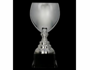 Victoria Sport Cup Metal Silver