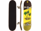 Skateboard Nejlepší sportovní skateboard dřevěné houby