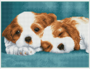 DIAMOND DOTZ Diamantové vyšívání Diamond Dotz Diamantová mozaika Little Champs Dvě štěňata 43x33cm DQK8014