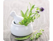 Wenko HERB GARDEN skleněná ochranná deska na sporák – velká, WENKO