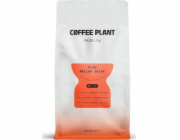 Coffee Plant FLOW Mellow Bezkofeinová zrnková káva 800 g