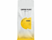 Kávovník Espresso Etiopie Oromia 1 kg
