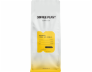 Kávovník Espresso Kolumbie Finca Los Robles 1 kg