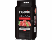 Substrát Agro FLORIA pro jahody 40 l, otoč a sázej
