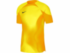 Nike Brankářský dres Dri-FIT ADV Gardien 4 DH7760-719: Ve...