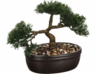 Atmosphera Bonsaj v černém květináči 23 cm