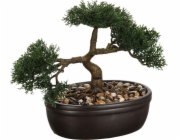 Atmosphera Bonsaj v černém květináči 23 cm