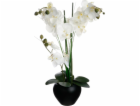 ATMOSPHERA Orchidej v černém květináči 53 cm