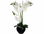 ATMOSPHERA Orchidej v černém květináči 53 cm