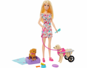 Mattel Sada panenky Barbie a psa v kočárku (HTK37)