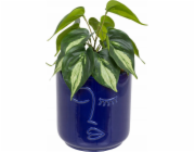 Atmosphera Umělá rostlina Epipremnum golden SOLEYA v keramickém květináči, 30 cm