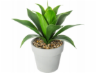 Atmosphera Umělá okrasná rostlina ALOE VERA, 34 cm, bílý ...