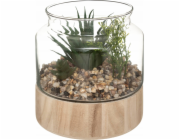 Atmosphera Umělé rostliny výška 17,5 cm, ve skleněném teráriu na podstavci