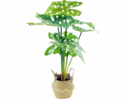 Eurofirany Alocasia, umělá květina v košíku