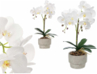 Ibergarden Umělá orchidej v cementovém květináči ORCHI, 4...