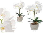 Ibergarden Umělá orchidej v cementovém květináči ORCHI, 49 cm