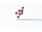 bult Turkey - suché krmivo pro psy - 12kg