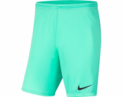 Nike Pánské kraťasy Park III tyrkysové velikosti S (BV6855 354)