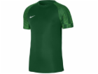 Nike Dres Match Jr Nike Warta Poznan Ekstraklasa 2022/23