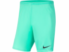 Nike Pánské kraťasy Park III tyrkysové velikosti XL (BV68...