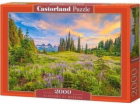 Castorland Puzzle 2000 Květy rána