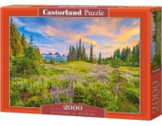 Castorland Puzzle 2000 Květy rána