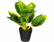 Atmosphera Umělá rostlina v květináči KALATEA, 30 cm