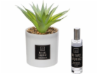Atmosphera Umělá rostlina s vonným olejem NATURA SAUVAGE