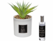 Atmosphera Umělá rostlina s vonným olejem NATURA SAUVAGE