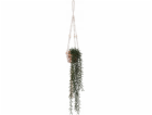 Atmosphera Artificial senecio Ali, 92 cm