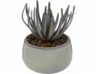 Atmosphera Umělý sukulent v květináči CAF, výška 18 cm