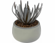 Atmosphera Umělý sukulent v květináči CAF, výška 18 cm