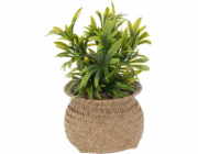 Atmosphera Umělá rostlina v květináči JIL, výška 20 cm