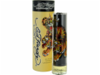 Christian Audigier Ed Hardy pánské EDT 100 ml